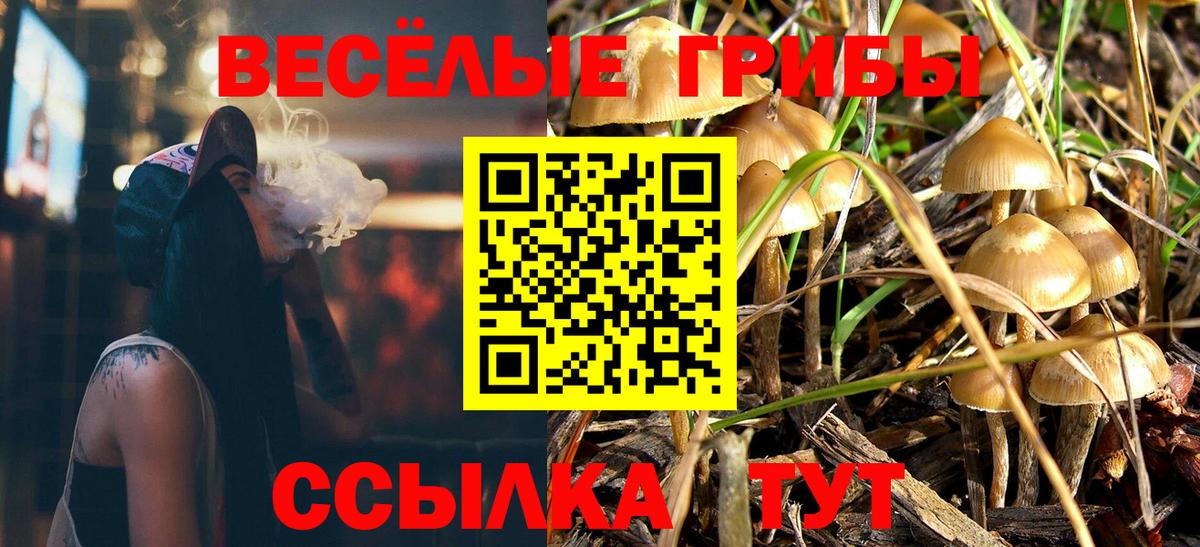 Крымск  Галлюциногенные грибы прущие грибы  Вход с VPN 